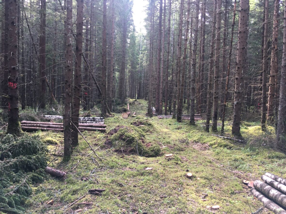 construction of meteorogical station