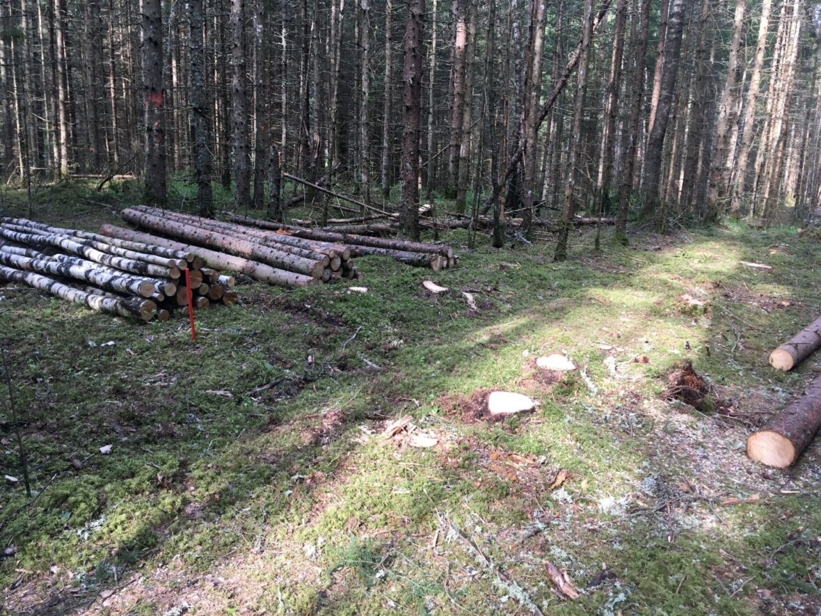 construction of meteorogical station